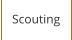 Scouting